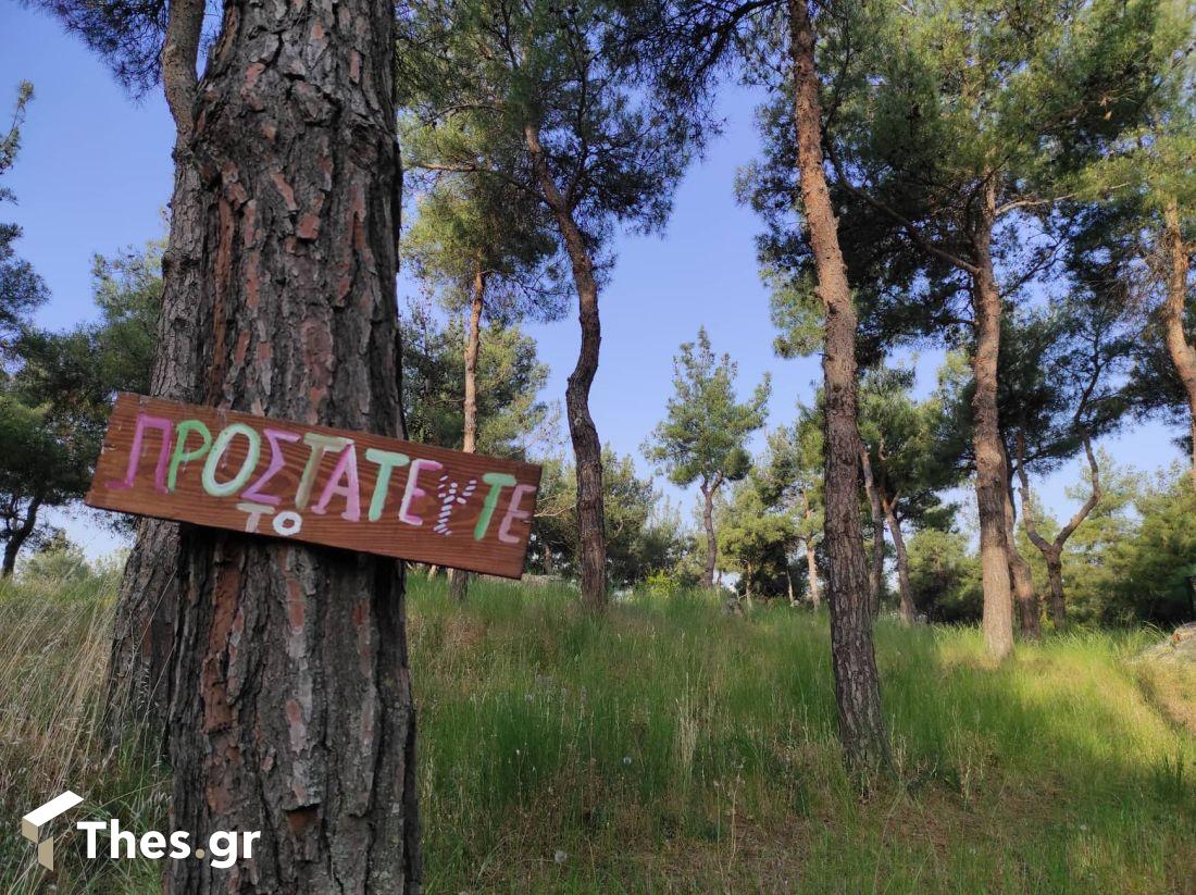 Αλσος Μετεώρων δασάκι Μετέωρα Θεσσαλονίκη