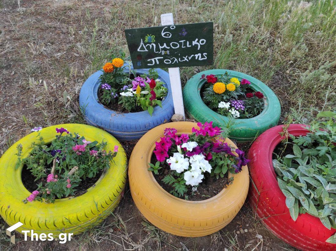 Αλσος Μετεώρων δασάκι Μετέωρα Θεσσαλονίκη