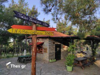 Αλσος Μετεώρων: Μία πράσινη όαση που θα αγαπήσουν μικροί και μεγάλοι (ΦΩΤΟ)