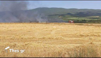 Φωτιά τώρα σε αγροτική έκταση στην Πρέβεζα