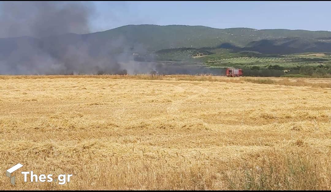 φωτιά Θεσσαλονίκη 
