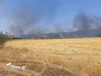 Χειροπέδες σε δύο μελισσοκόμους για την πυρκαγιά στο Γάζωρο Σερρών