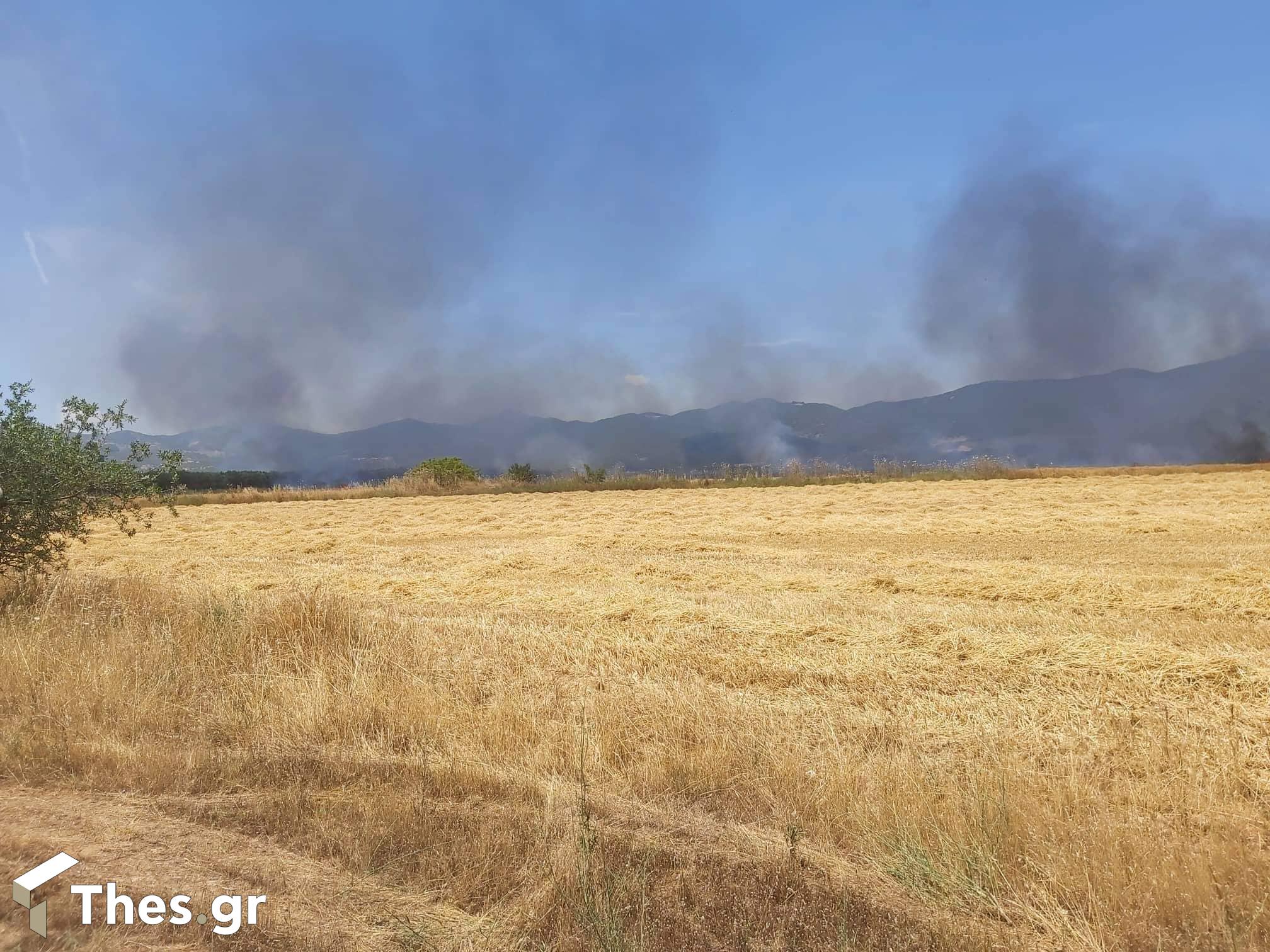 φωτιά Θεσσαλονίκη πυρκαγιά Σέρρες