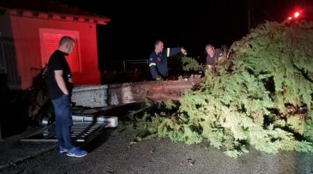 Σέρρες: Σφοδρό μπουρίνι άφησε χωρίς ρεύμα χωριά – Δεκάδες κομμένα δένδρα