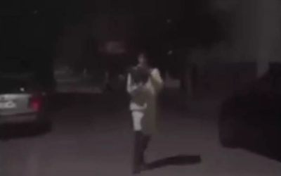 Φρίκη στην Κομοτηνή: Νεαρό αγόρι πετούσε στον αέρα γατάκι και το κλώτσαγε