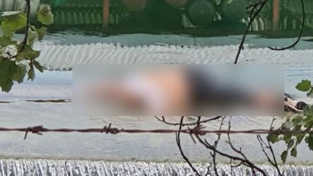 Τραγωδία στην Ημαθία: Γυναίκα έπεσε σε κανάλι – Προσπάθειες για να ανασύρουν το πτώμα (ΒΙΝΤΕΟ)