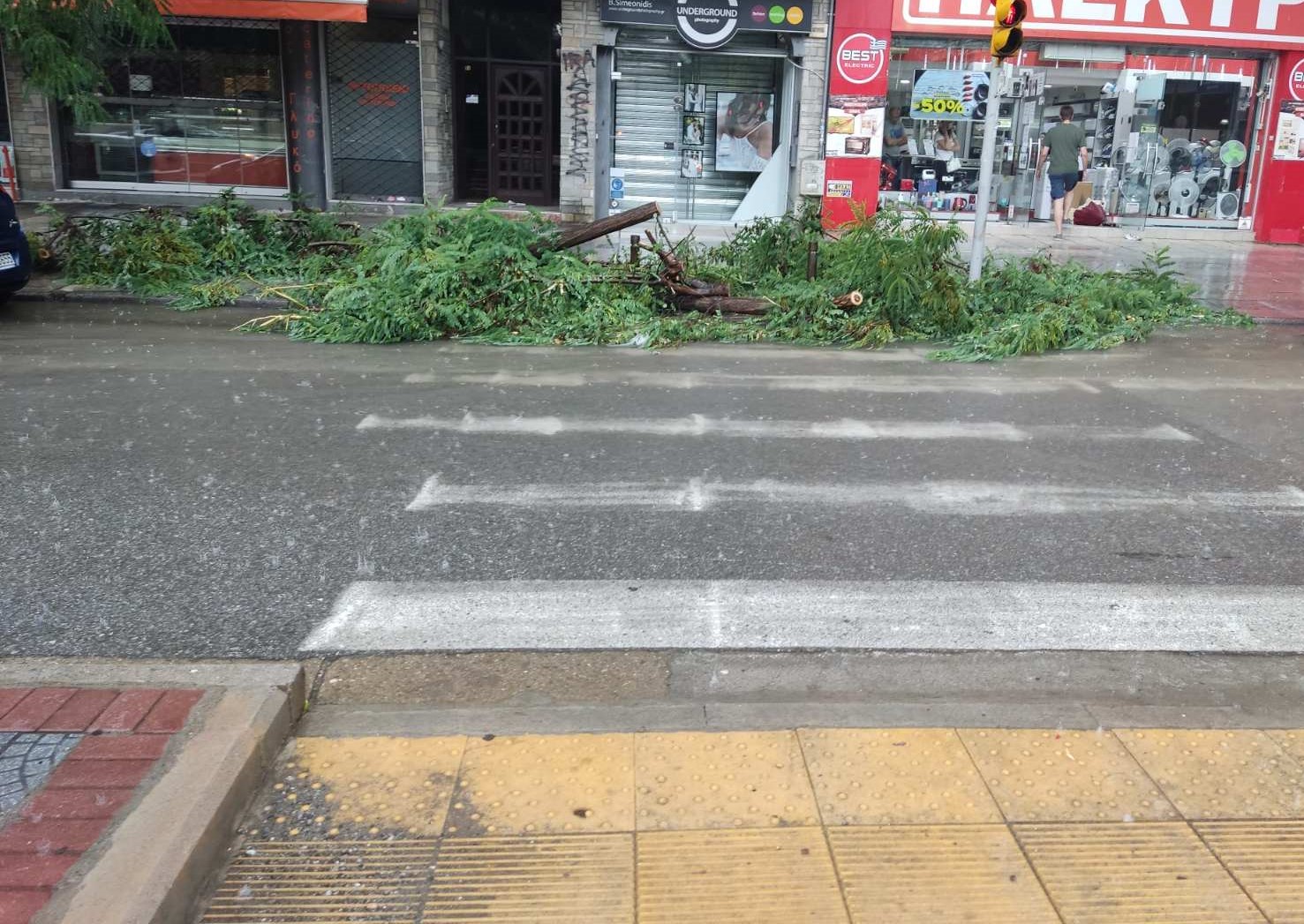 Θεσσαλονίκη βροχή δέντρο 