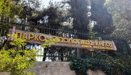 Ανάσες δροσιάς στο πάρκο του ζωολογικού κήπου – Αύριο ανοίγει και πάλι τις πύλες του για μικρούς και μεγάλους (ΦΩΤΟ)