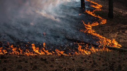 Φωτιά τώρα: Στις φλόγες δύο σπίτια στην Παλλήνη