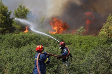 Ξέσπασε πυρκαγιά σε δασική έκταση στο Ανω Βαθύ Σάμου