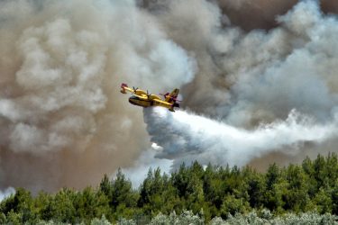 Φωτιά στην Ηλεία: Πλησιάζει σε σπίτια – Μεγάλη δύναμη της πυροσβεστικής   