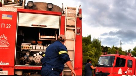Κρήτη: Φωτιά τώρα στο Ηράκλειο – Βρίσκεται κοντά σε κατοικημένη περιοχή