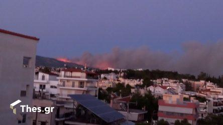 Πεντέλη: Αυτοκτόνησε επειδή είδε την περιουσία του να καίγεται για τρίτη φορά