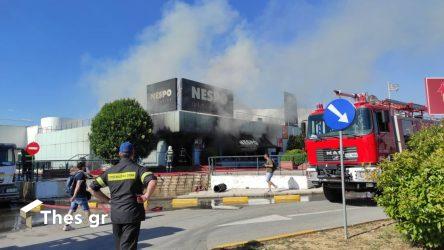 Θεσσαλονίκη: Πρόστιμα από την Πυροσβεστική για φωτιές σε Πυλαία και Χαλάστρα