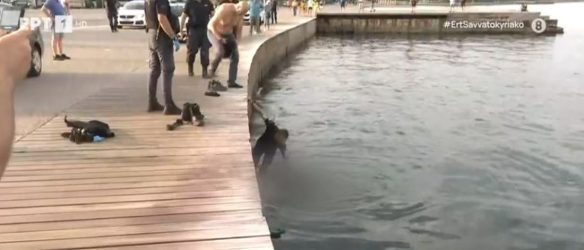Θεσσαλονίκη: Άνδρας προσπάθησε να ξεφύγει από την αστυνομία και έπεσε στον Θερμαϊκό με τις χειροπέδες