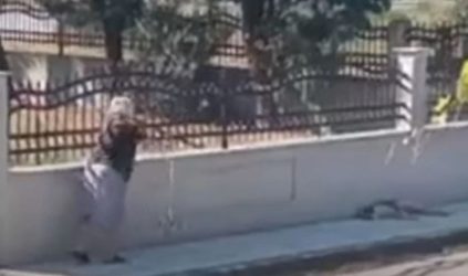 Θεσσαλονίκη: Μετανιωμένη η γιαγιά που πέταξε τρίποδο σε σκύλο (ΒΙΝΤΕΟ)