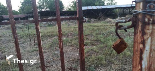 Πέλλα: Παρέμβαση εισαγγελέα για το ενδεχόμενο κλοπής αρχαιοτήτων (ΒΙΝΤΕΟ & ΦΩΤΟ)