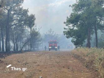 φωτιά Θεσσαλονίκη Σέιχ Σου