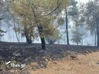 Θεσσαλονίκη: Εκαιγαν καλώδια στο Σέιχ Σου για να πάρουν το χαλκό