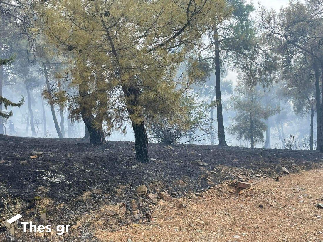 φωτιά Θεσσαλονίκη Σέιχ Σου