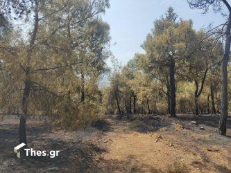 Θεσσαλονίκη: Νέο πρόστιμο για παράνομη διέλευση από το Σέιχ Σου