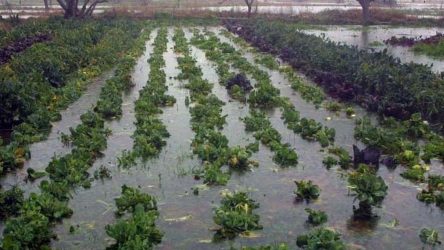 Κοζάνη: Σε κατάσταση έκτακτης ανάγκης λόγω κακοκαιρίας ο δήμος Εορδαίας