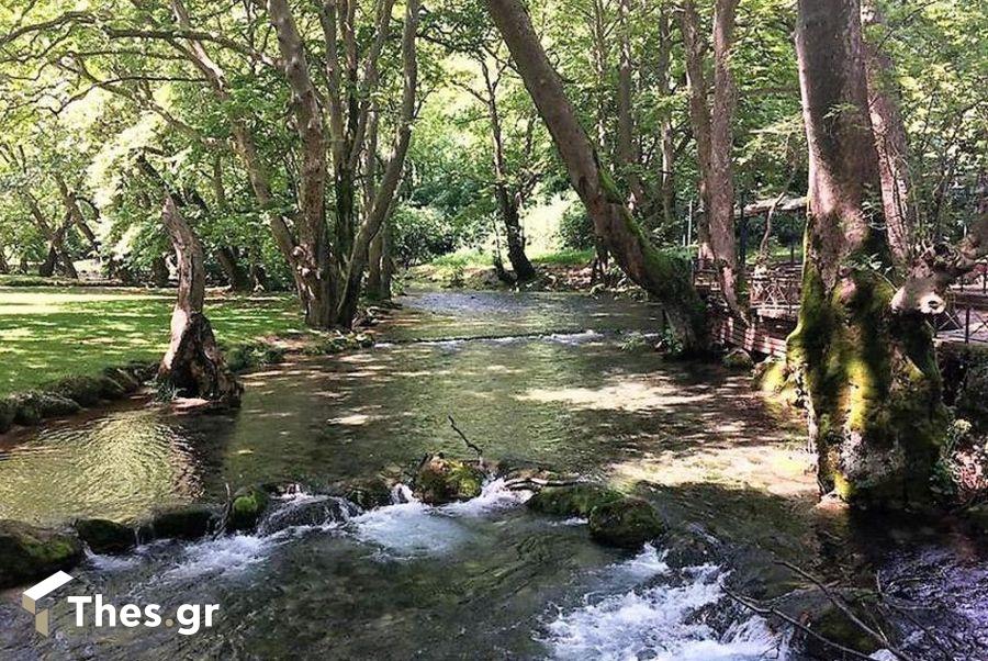 Αλσος Αγίου Νικολάου Νάουσα