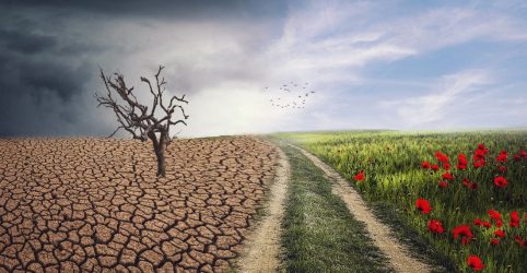 Κλιματική αλλαγή: Ανησυχία για την ξηρασία – Τι προειδοποιούν οι ειδικοί