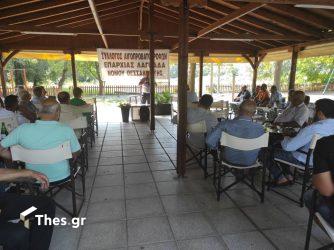 Λαγκαδάς: Οι κτηνοτρόφοι αγωνιούν για την επόμενη μέρα