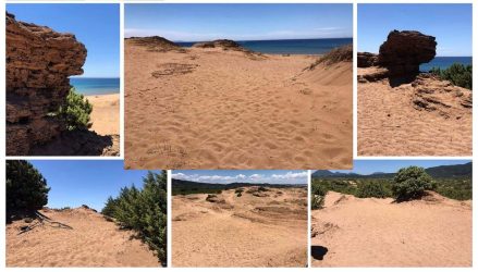 Ισσος: Η παραλία με τους τεράστιους αμμόλοφους και το τοπίο… Σαχάρας (ΒΙΝΤΕΟ & ΦΩΤΟ)
