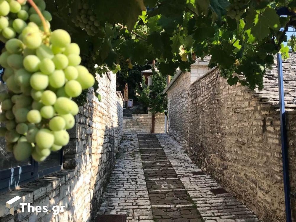 Βίτσα Ζαγοροχώρια Ζαγόρι Ιωάννινα χωριό Κεντρικό Ζαγόρι