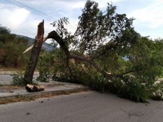 Χαλκιδική: Εκλεισε ο δρόμος έξω από το Στρατώνι μετά από πτώση δέντρου