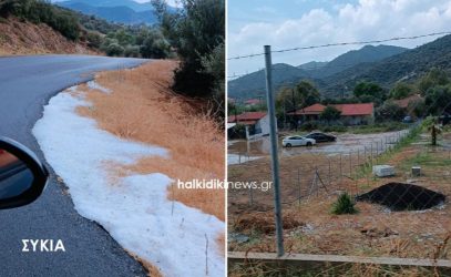 Χαλκιδική: Χαλάζι προκάλεσε ζημιές σε περιοχές της Σιθωνίας (ΒΙΝΤΕΟ & ΦΩΤΟ)