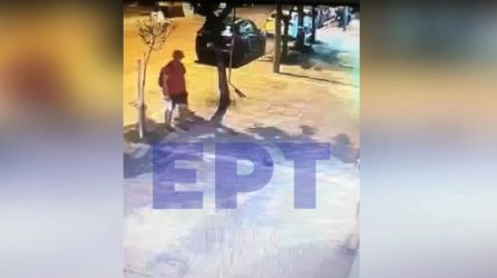 Κτηνωδία στην Θεσσαλονίκη: Ανδρας πάτησε και σκότωσε νεογέννητο γατάκι (ΒΙΝΤΕΟ)