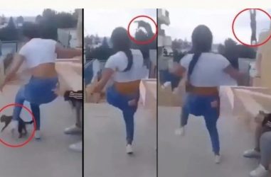Πρόστιμο 5000 ευρώ στην 15χρονη που κλώτσησε με μανία γάτα (ΒΙΝΤΕΟ)