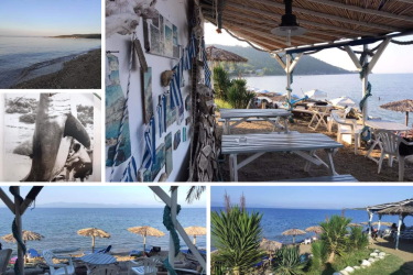 Παραλία Ξινά, Χαλκιδική: Η καντίνα που σε ταξιδεύει στο χρόνο και η ιστορία του λευκού καρχαρία (ΒΙΝΤΕΟ & ΦΩΤΟ)