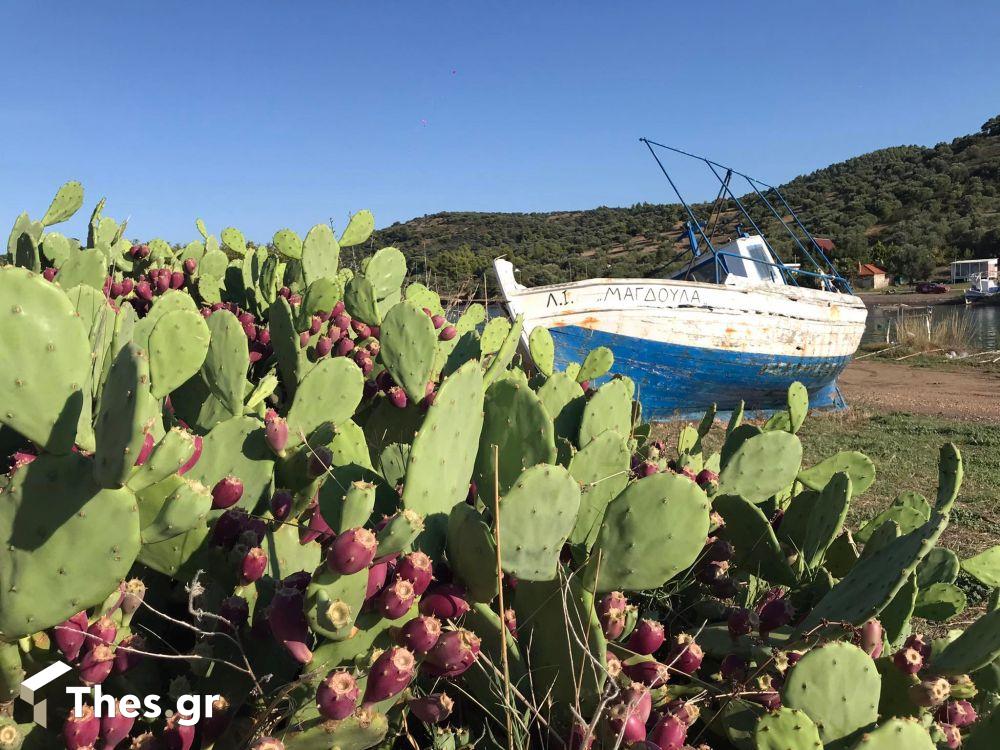 Ακρωτήριο Κάνιστρο Κασσάνδρα Χαλκιδική