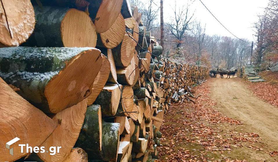 ξύλα ξυλεία υλοτόμοι θέρμανση