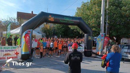 16ο Virgin Forest Trail Παρανέστι Αγώνες Βουνού Παρθένου Δάσους