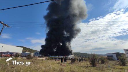 Λέκκας: “Οι δασικές πυρκαγιές πυροδοτούν την κλιματική κρίση”