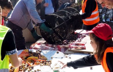 Δήμος Θέρμης: Με επιτυχία η «Γιορτή κάστανου» στο Λιβάδι (ΦΩΤΟ)