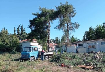 Δήμος Ωραιοκάστρου: Κόπηκαν δεκάδες επικίνδυνα δέντρα σε Ωραιόκαστρο, Καλλιθέα και Μυγδονία (ΦΩΤΟ)