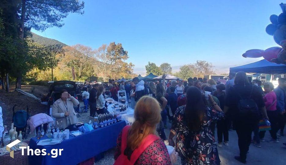 Γιορτή κάστανου στο καστανόδασος Παλαιοχωρίου Δήμος Παγγαίου Παγγαίο κάστανα
