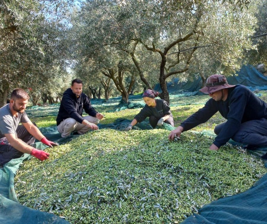 Αλέξανδρος Τζόρβας