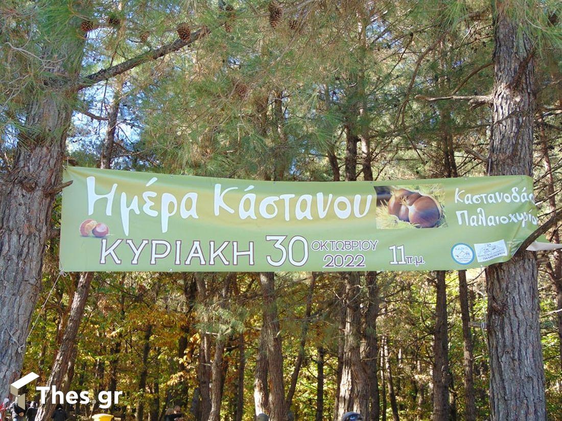 Γιορτή κάστανου στο καστανόδασος Παλαιοχωρίου Δήμος Παγγαίου Παγγαίο κάστανα