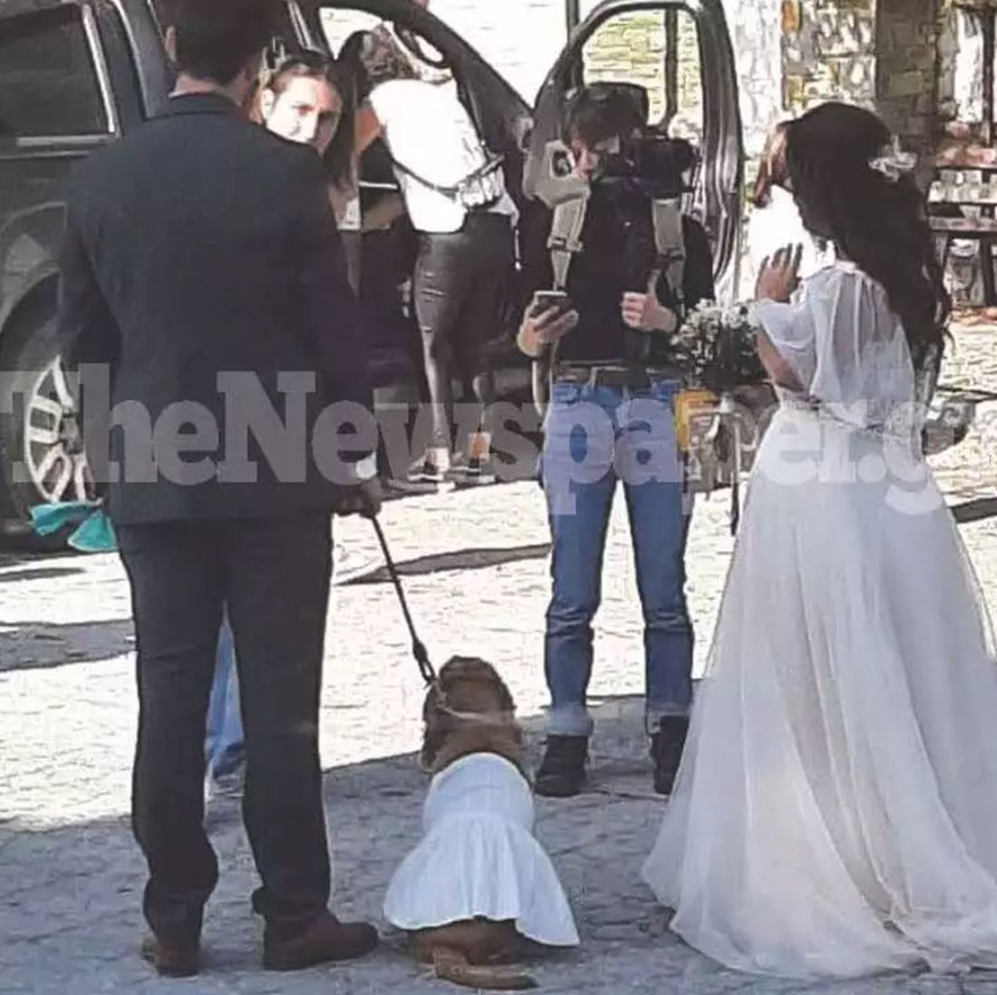 Πήλιο γάμος σκύλος