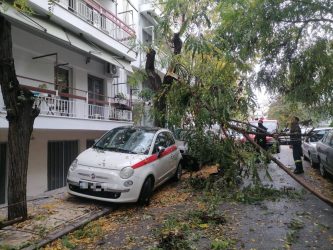 Κακοκαιρία “EVA”: Εσπασε κλαδί λόγω ανέμων στην Τούμπα (ΦΩΤΟ)