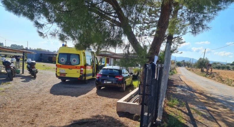 Μεσσήνη