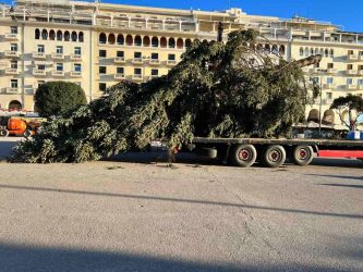 Θεσσαλονίκη: Εφτασε στην Αριστοτέλους το δέντρο που θα στολιστεί για τα Χριστούγεννα (ΦΩΤΟ)