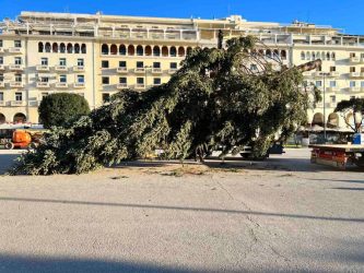 Δήμος Θεσσαλονίκης: Πρόγραμμα συλλογής φυσικών χριστουγεννιάτικων δέντρων